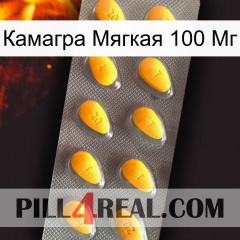 Камагра Мягкая 100 Мг cialis1